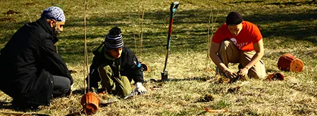 planting