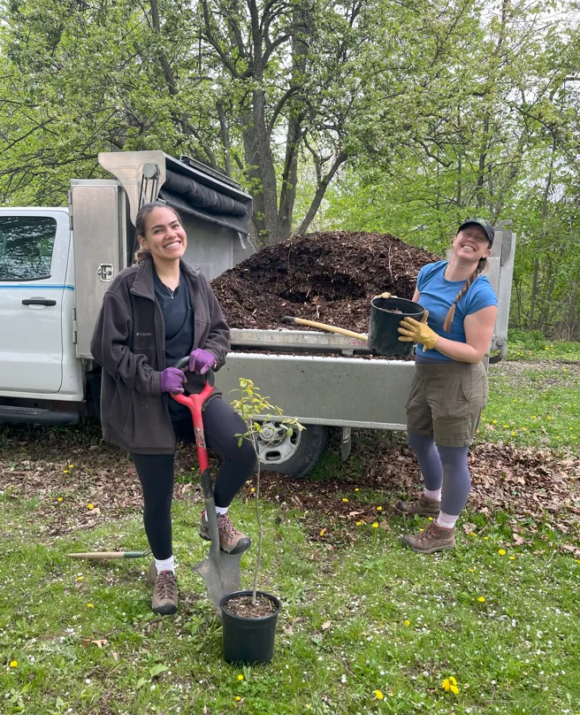 Planting at Confederation Park, 2025