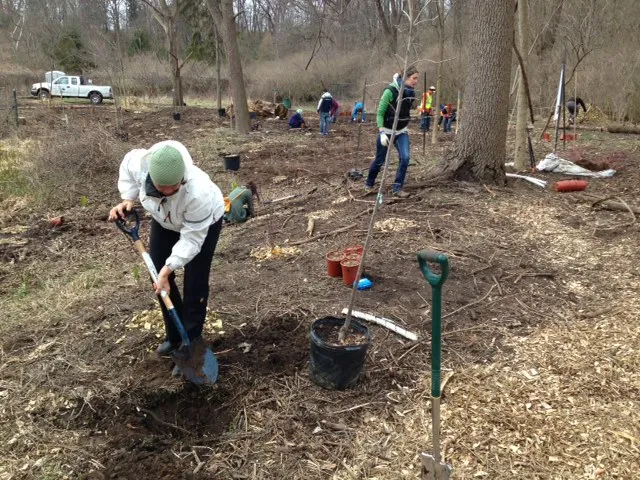 RBG Arboretum - Spring 2013